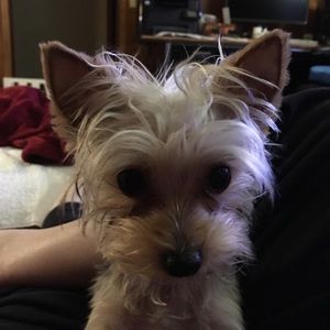 Meet your Posher, Patty